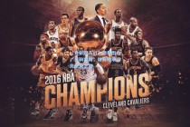 【竞彩网入口】老马出山，良驹奔腾，体育传承点亮未来之路