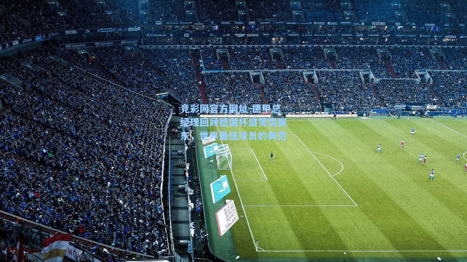 德甲总经理回顾德国杯盛赞樊振东，世界最佳球员的典范